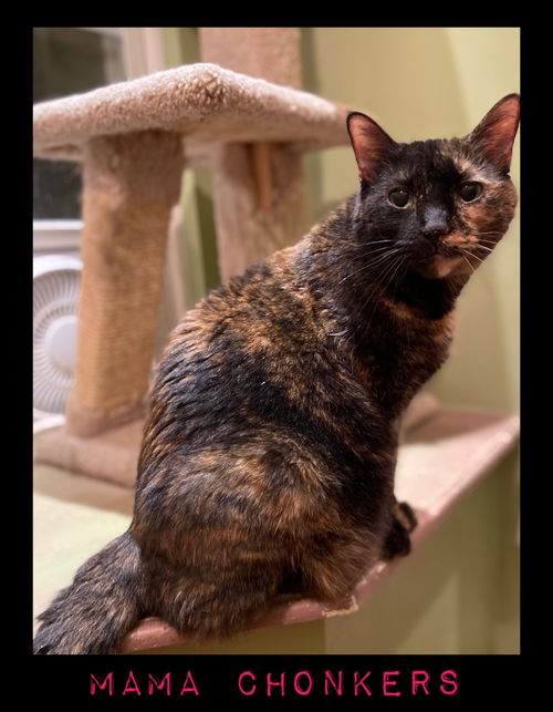 Mama Chonkers