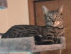 Mars (with Mitzi)