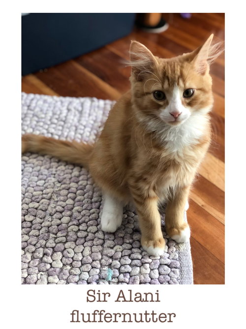 Sir Alani Fluffernutter