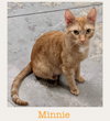 Minnie (with Opie)