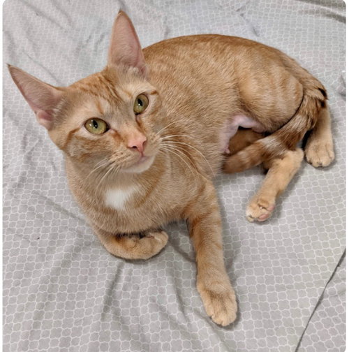 Minnie (with Opie)