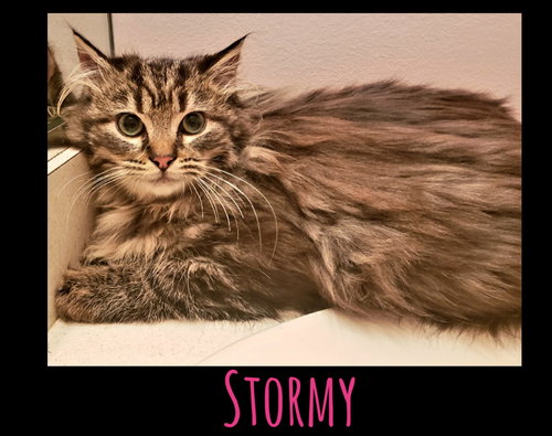 Stormy