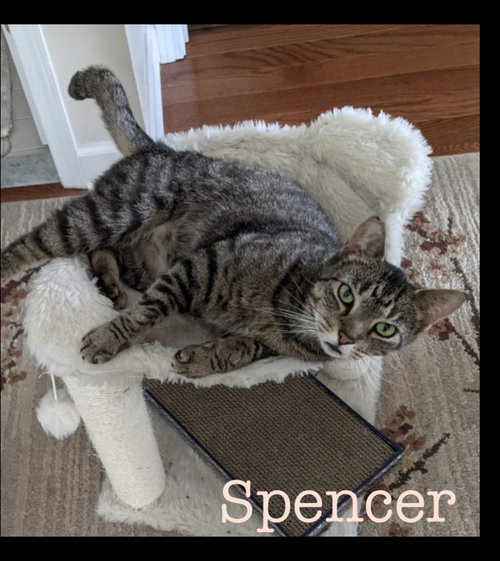 Spencer