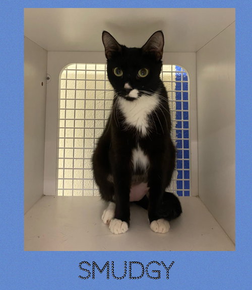 Smudgy