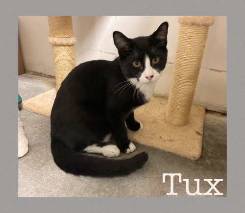 Tux