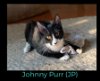 Johnny Purr (JP)