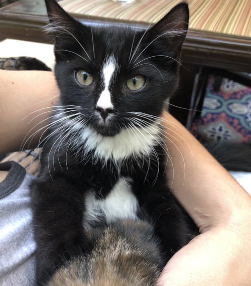 O’Malley