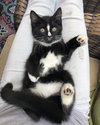 O’Malley