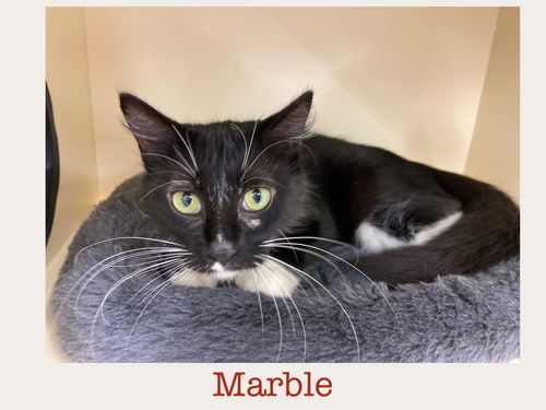 Marble