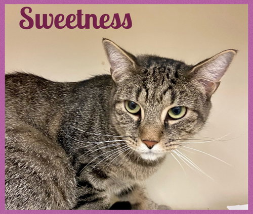 Sweetness