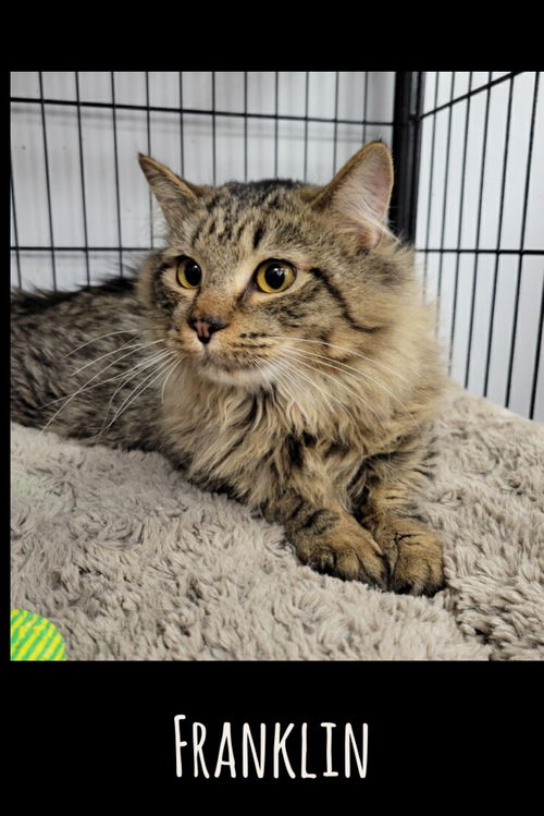 Franklin