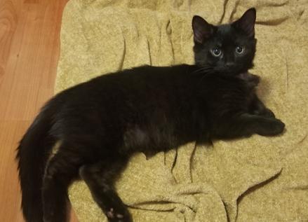 Binx