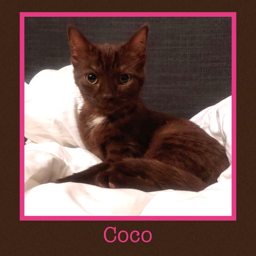 Coco