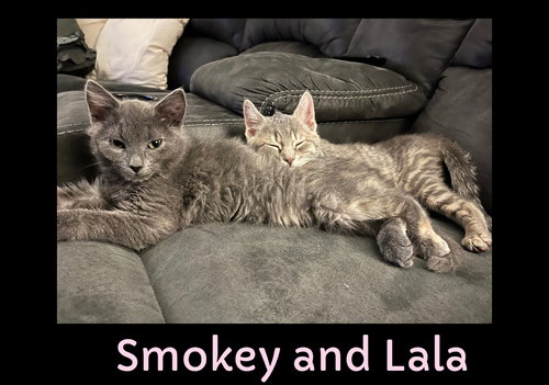 Smokey (with Lala)