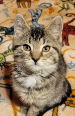 Luna