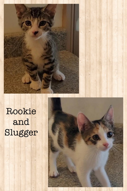 Slugger (with Rookie)