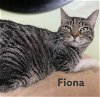 Fiona (with Orion)