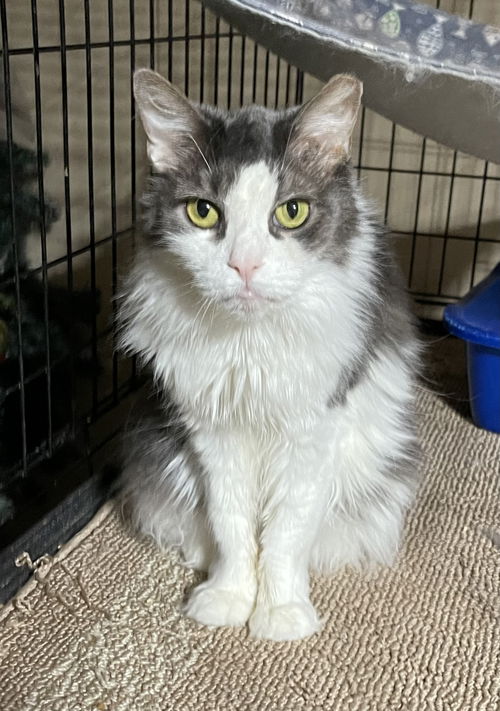 Delilah