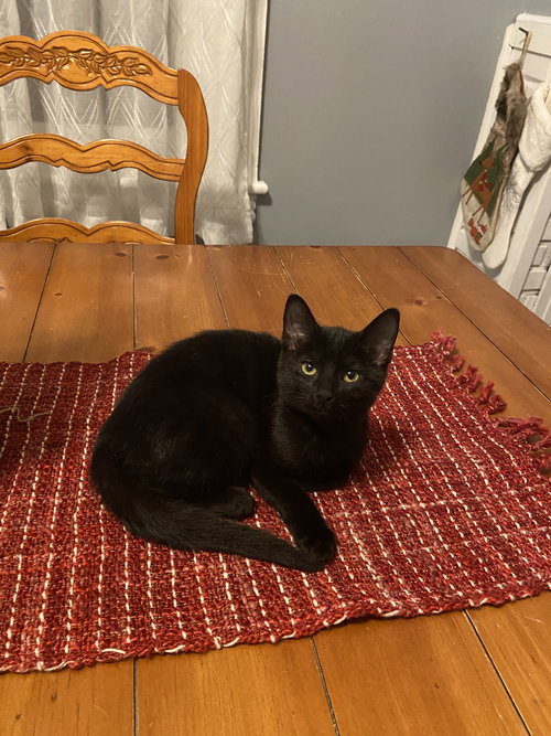 Binx