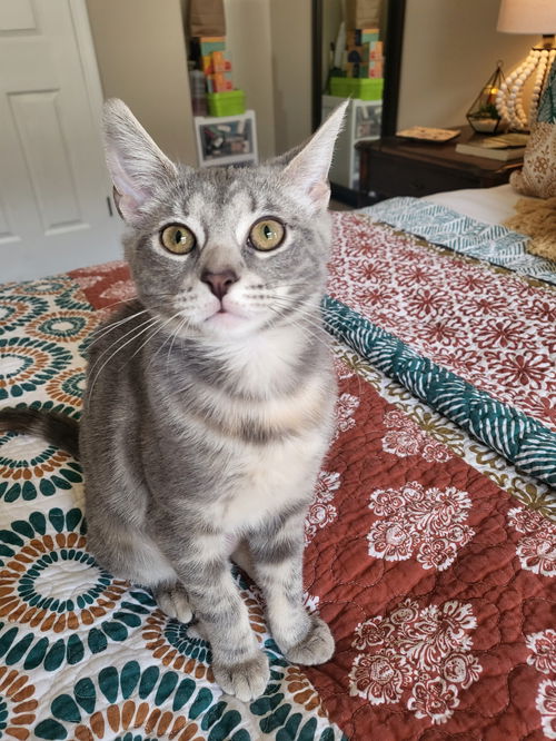 Freya