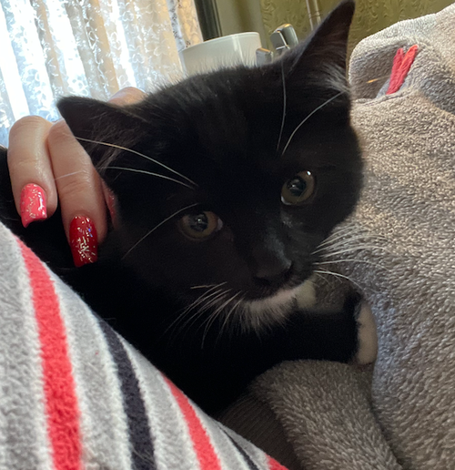 Mittens 2