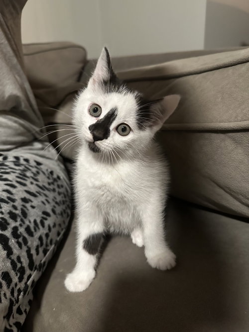 Benny
