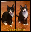 Zero (with Twitch)