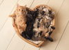 Snickers Donut