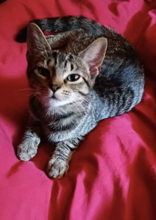 Emma Lou