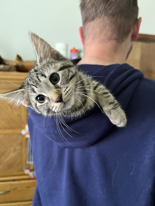 Penny