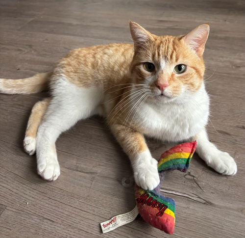 Oliver