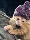 Rory
