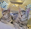 Mikey (with Roz)