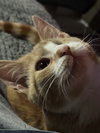 Winnie