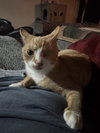 Winnie