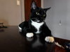 Foundling