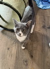 Mitzi (w/ Bitsy)