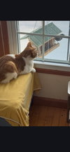 Bob