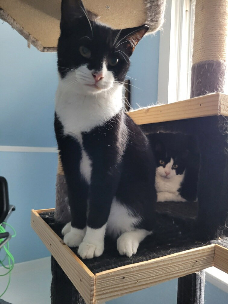 Smudge
