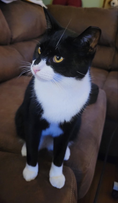 Photo 2 of Smudge