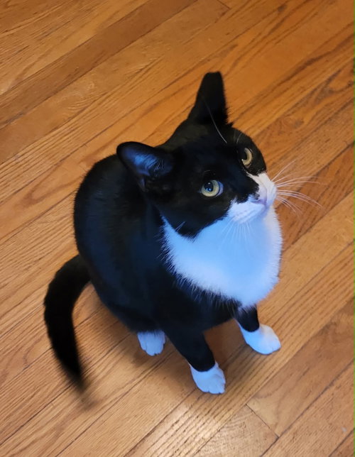 Photo 5 of Smudge