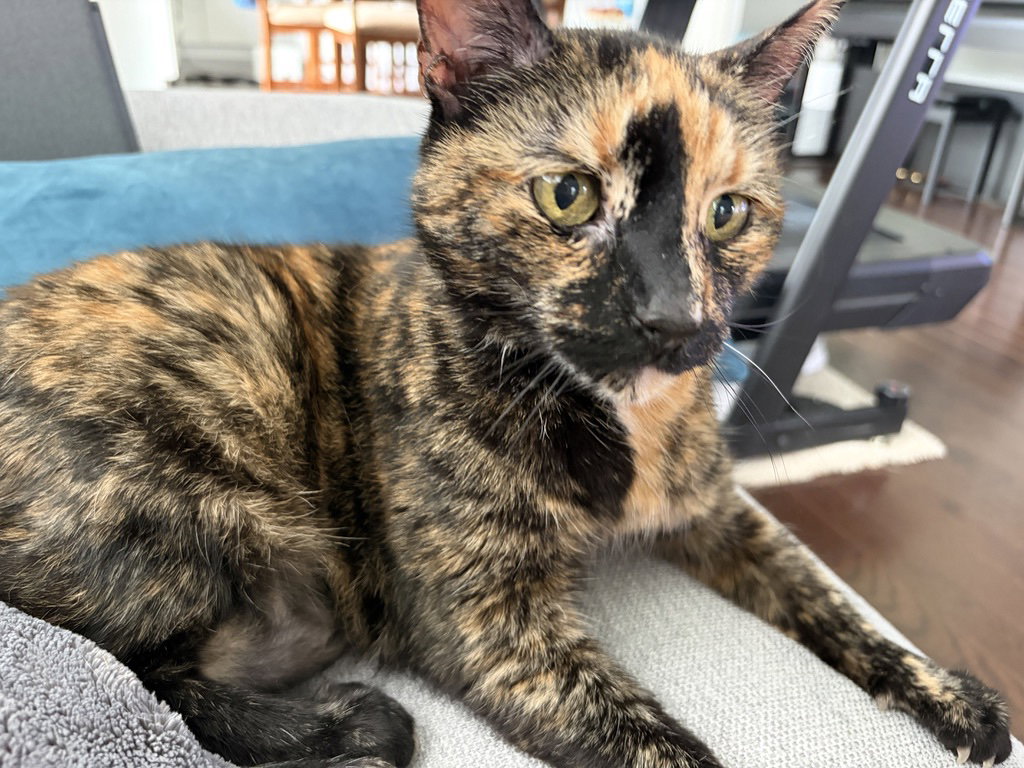 Mabel, photo 2