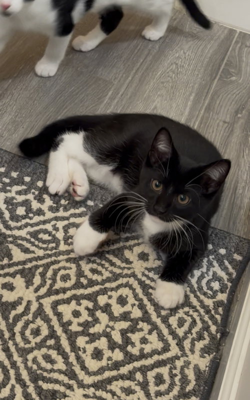 Photo 4 of Maui w/Tala