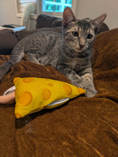 Photo 3 of Derpy