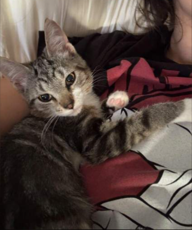 Athena