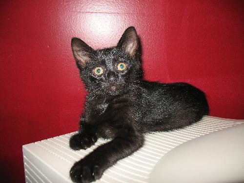 Lucy