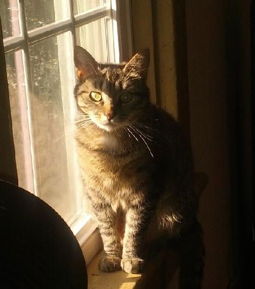 Eugenie