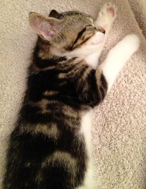 Delilah