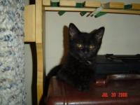 Emmy ADOPTED