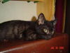Emmy ADOPTED